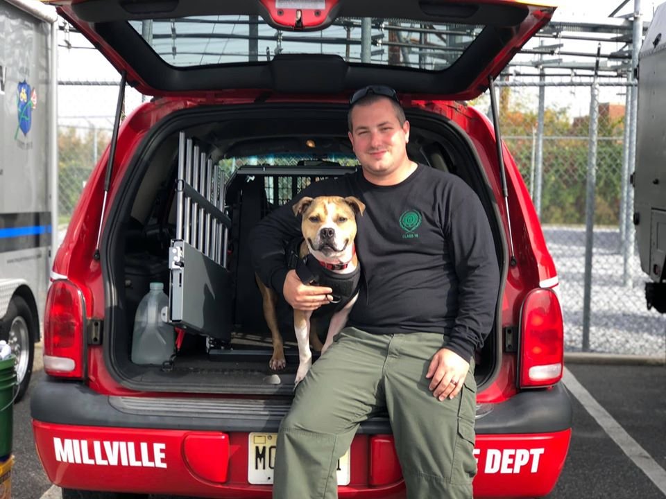 Primer pitbull que se convierte en oficial K9 de detección de incendios 10 Bomberos MillVille
