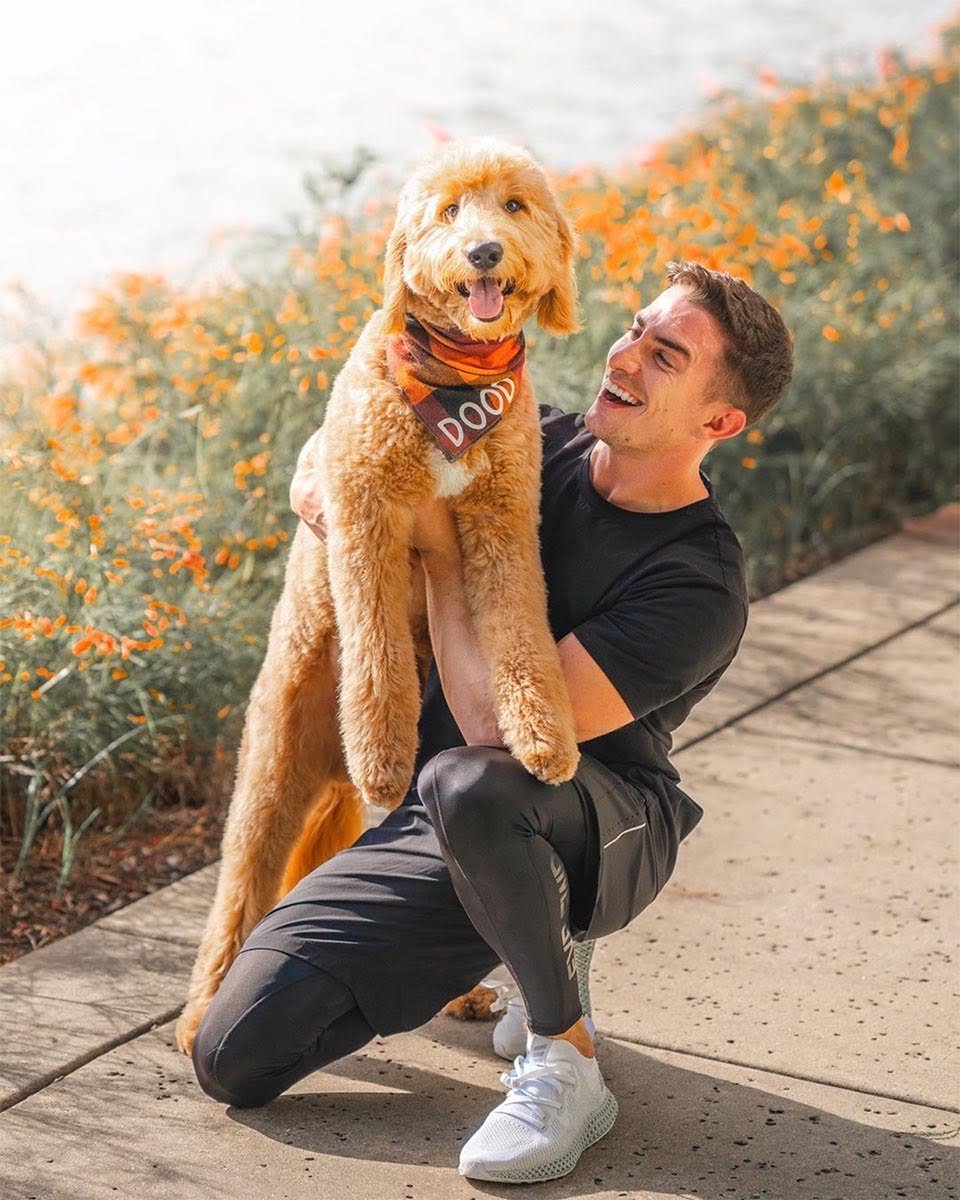 Dood es feliz Dood es feliz
