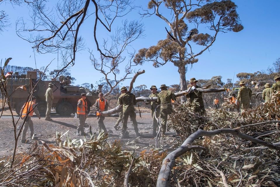 Soldados del ejercito de Nueva Zelanda consuelan a un koala angustiado en el monte 7 Ejercito ayudando Australia