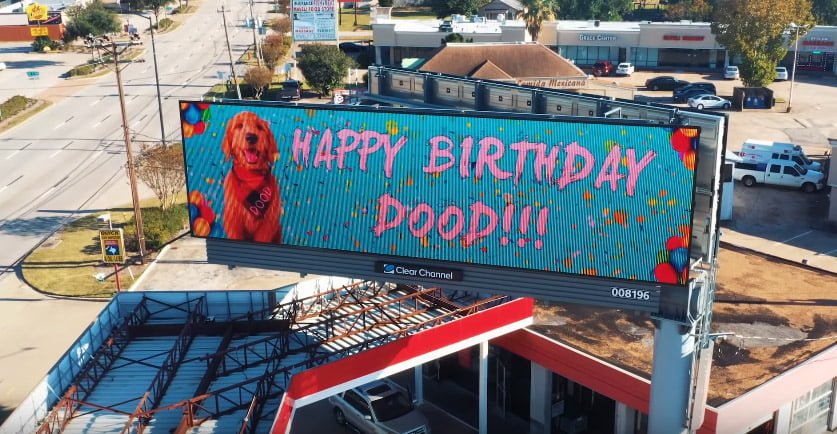 Hombre alquila una valla publicitaria para que todos sepan que es el cumpleaños de su perro 4 Hombre alquila cartel luminoso