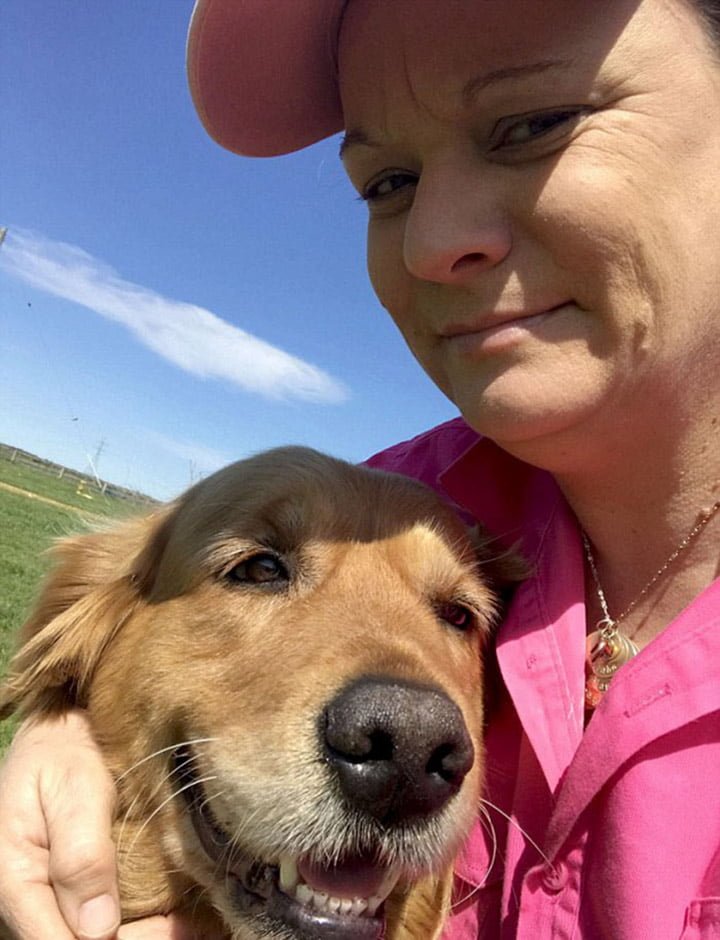 Golden retriever sorprendió a su familia con un bebé koala que rescató 6 Kerry y Perrita Golden Retriever
