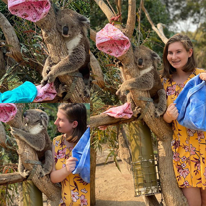 Tejedores de todo el mundo se unen para ayudar a los animales afectados por incendios en Australia 4 Koala en árbol con mantas