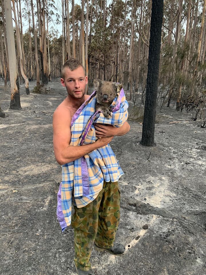 Patrick boyle y koala rescatado