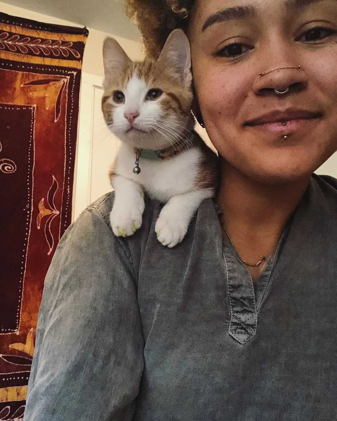 Gato sin hogar abraza al perro de la familia e insiste en ser su mejor amigo 13 Pop posando en hombros