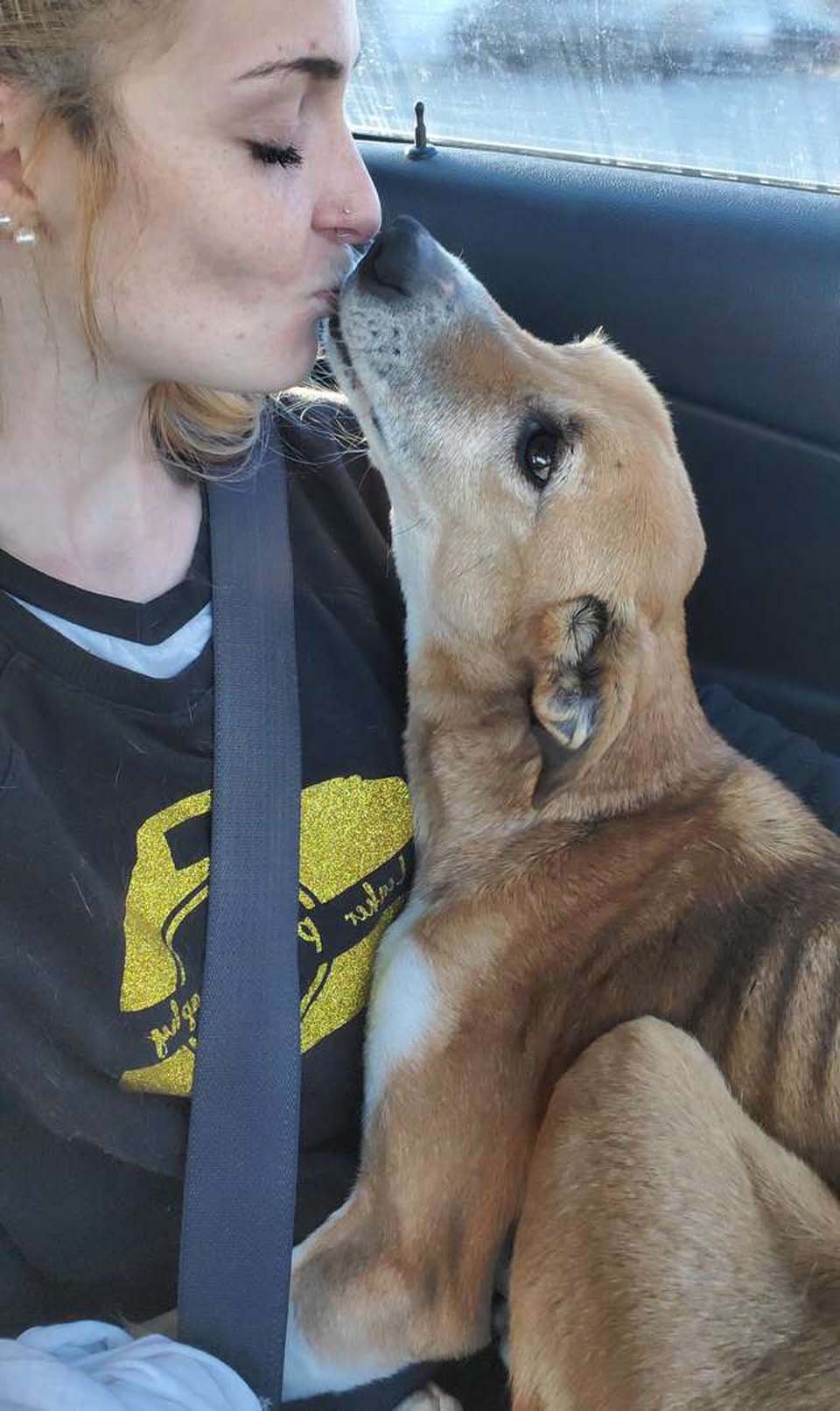 Perrita encontrada al costado de la carretera se acurruca inmediatamente con su rescatista 8 Reba y su madre