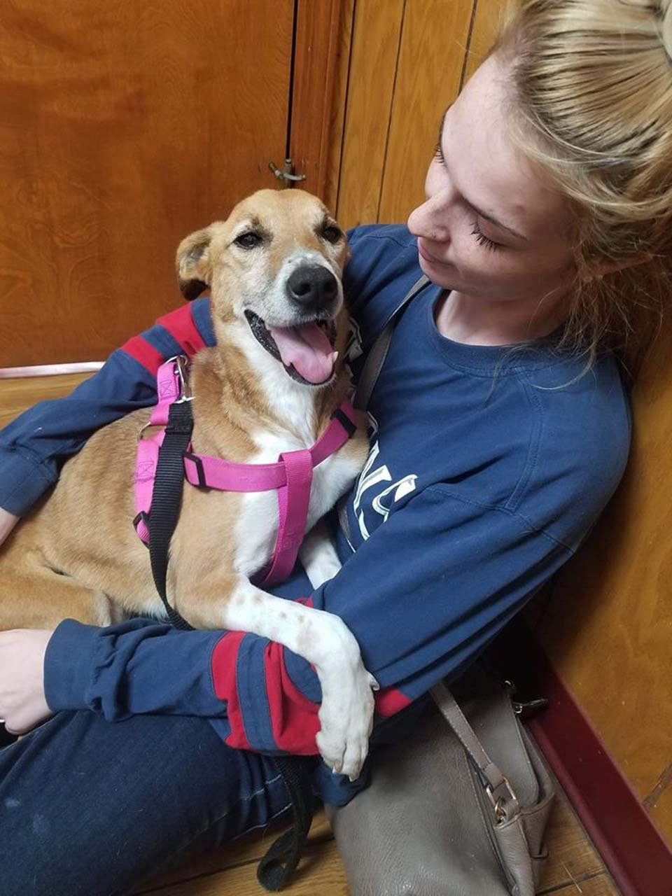 Perrita encontrada al costado de la carretera se acurruca inmediatamente con su rescatista 12 Reba y su rescatista