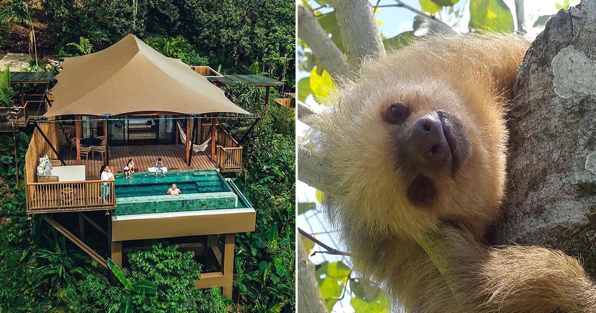 Ahora puedes quedarte con los perezosos en la selva costarricense
