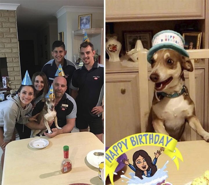 Cumpleaños de Bailey en 2019 Cumpleaños de Bailey en 2019