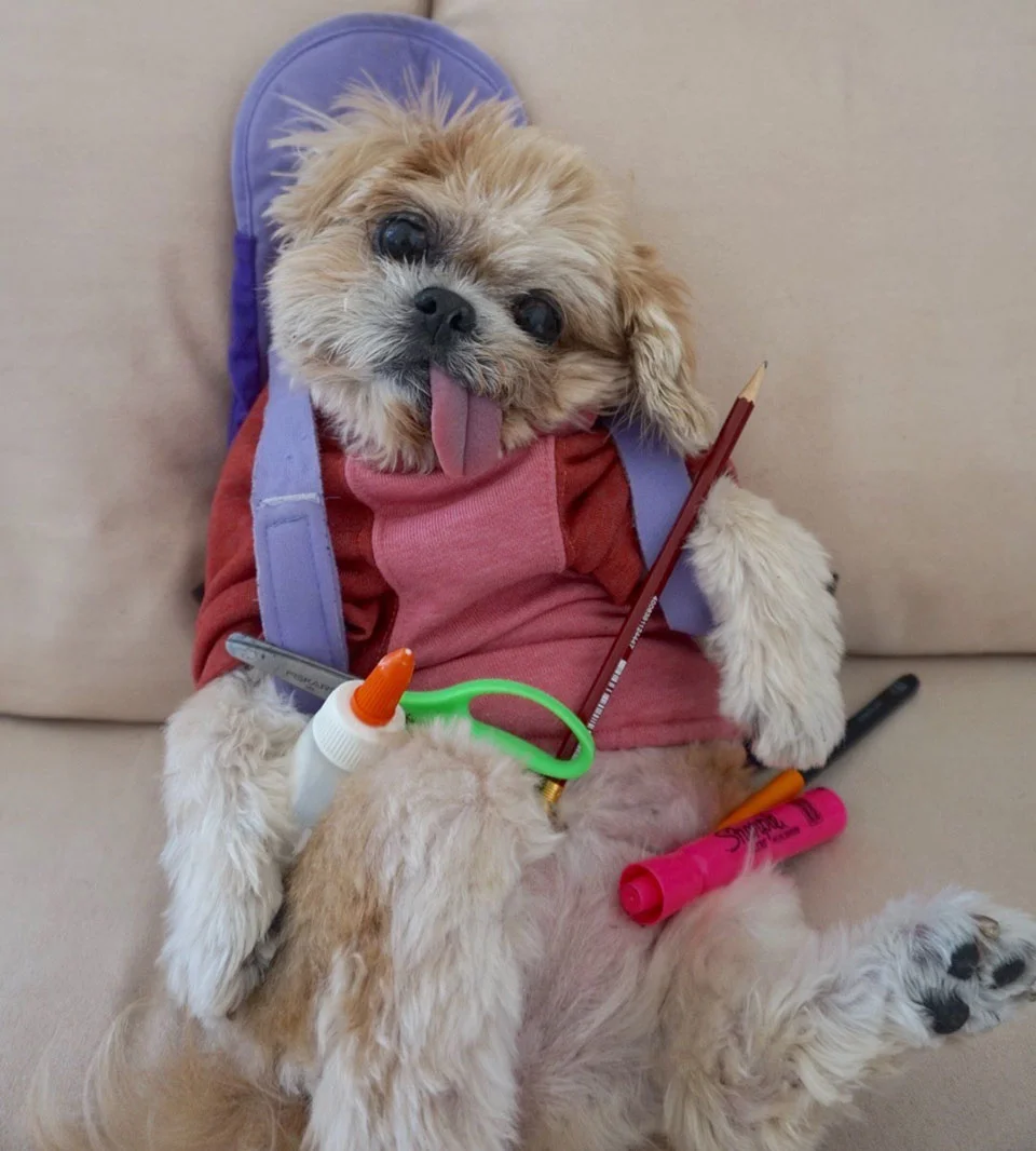 Marnie a estudiar