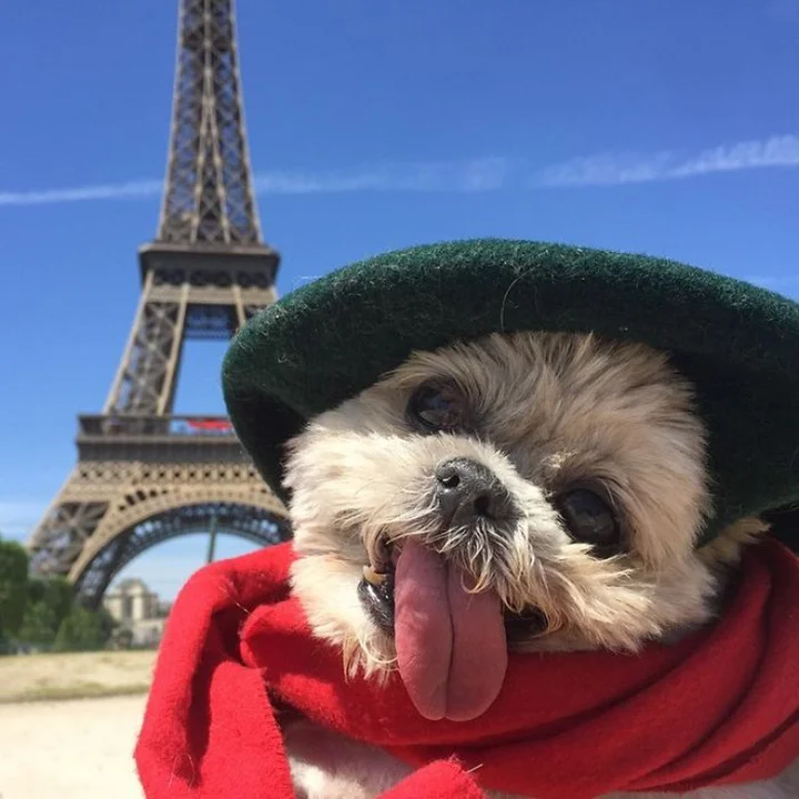 Marnie en paris