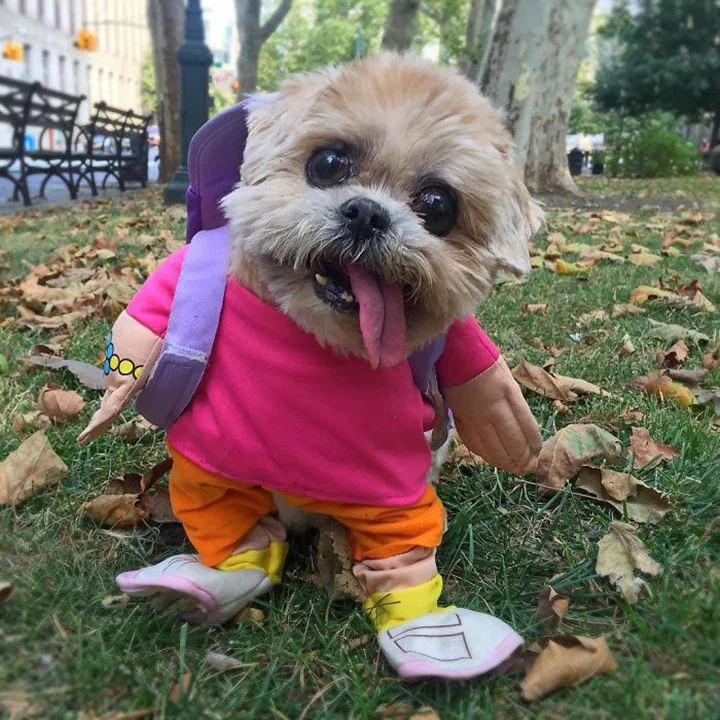 Marnie perrita popular