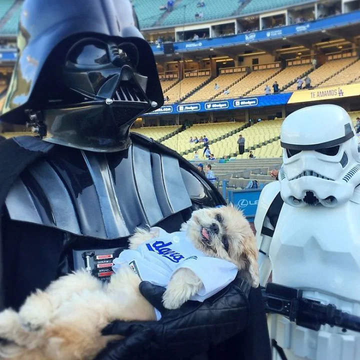 Perrita y Darth Vader
