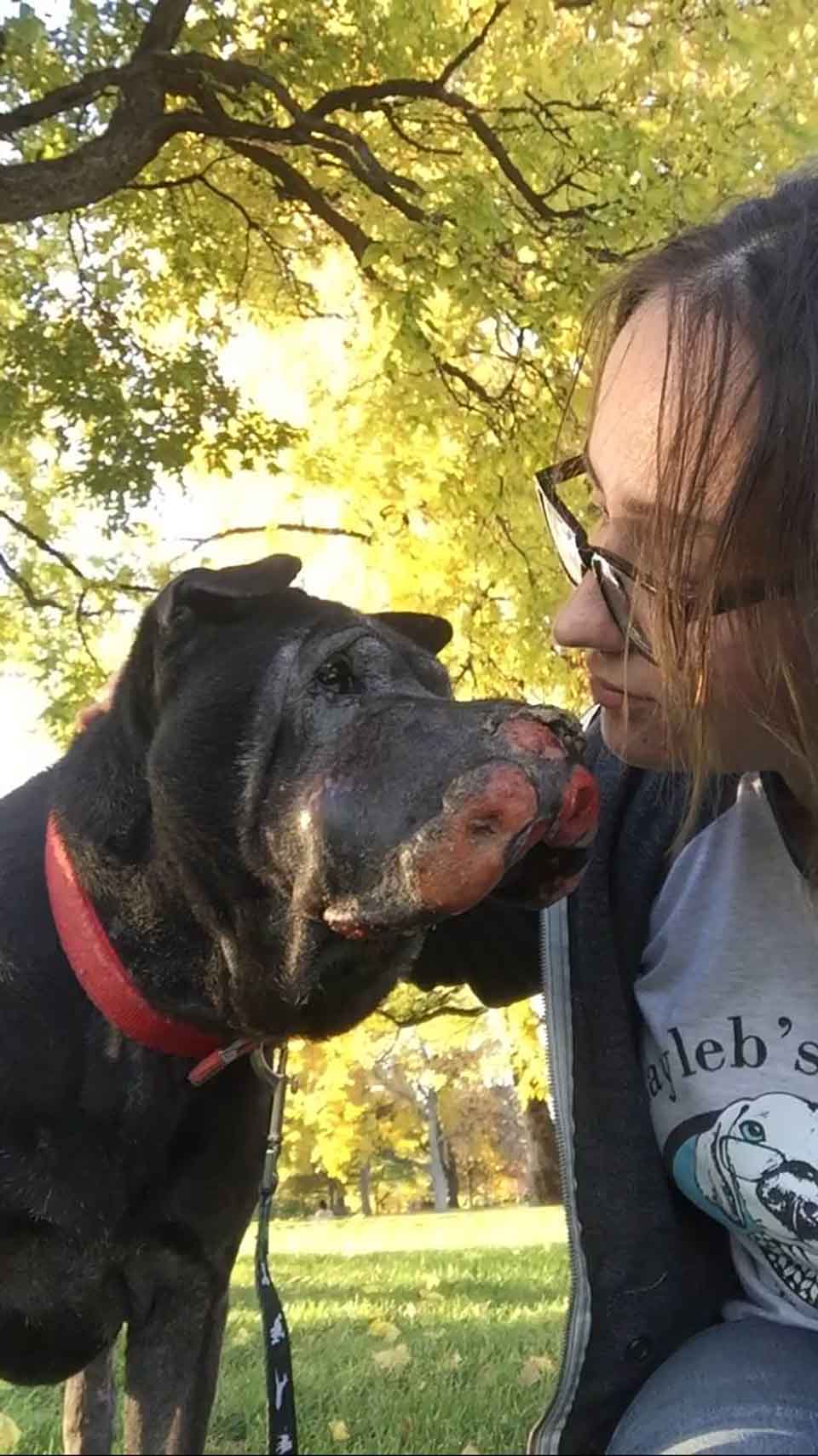 Mujer brinda cariño a perrito con tumores