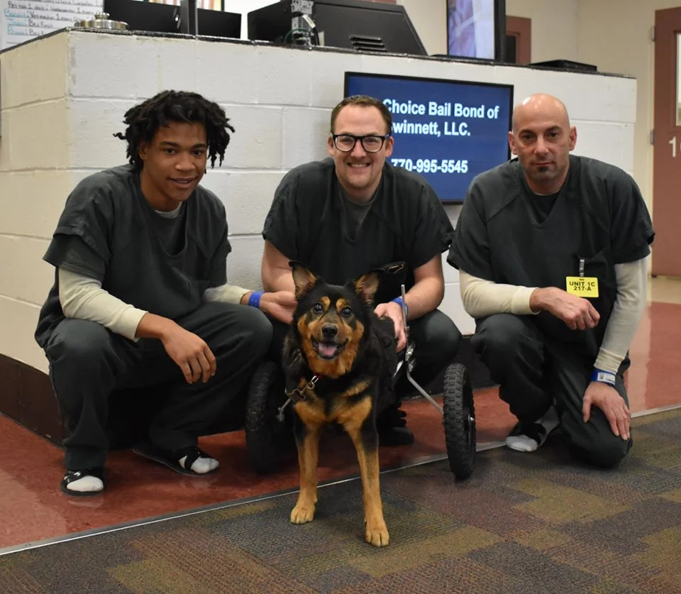 Perro devuelto 4 veces finalmente es adoptado por alguien que lo ama como es 1 Perro con necesidades