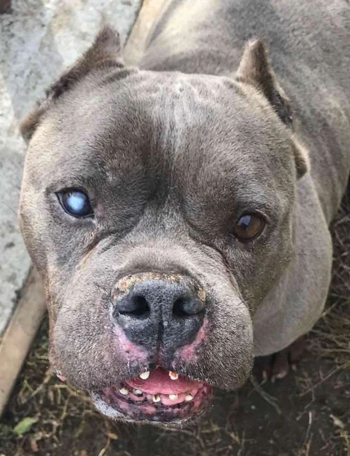 Wally quiere ser feliz