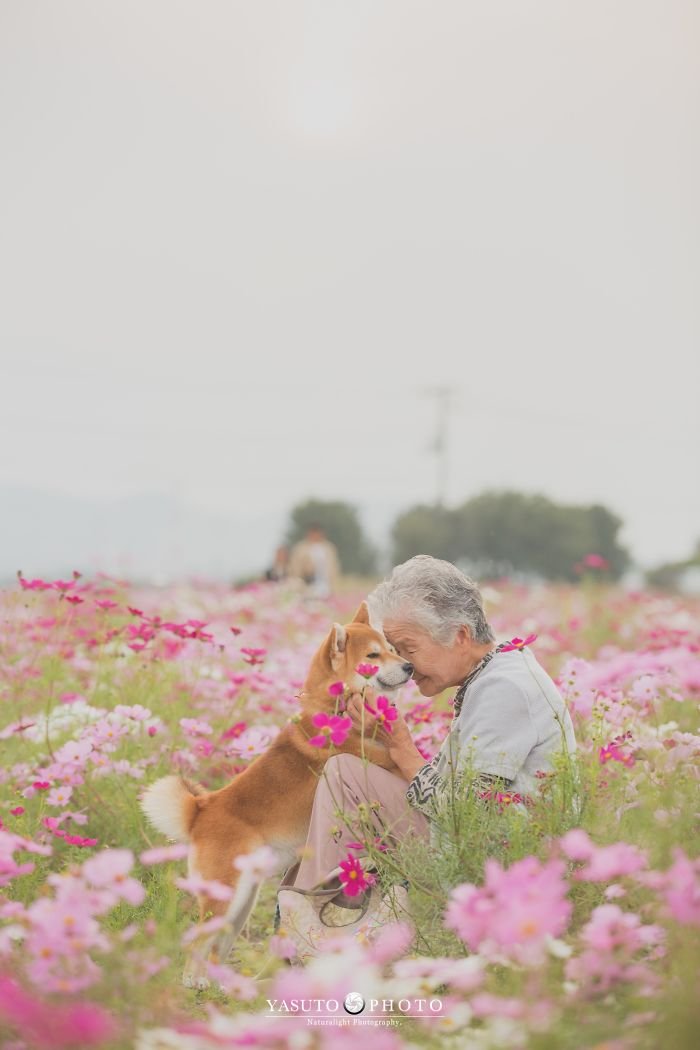 abuela y su mascota entre flores abuela y su mascota entre flores