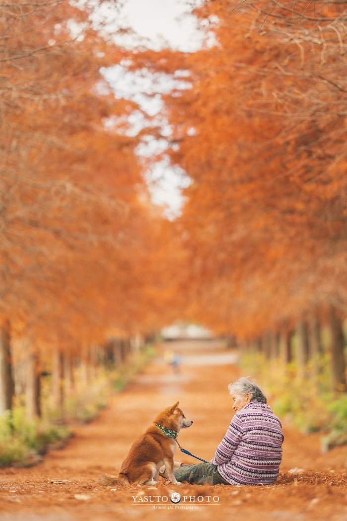 abuela y su Shiba Inu en un camino abuela y su Shiba Inu en un camino