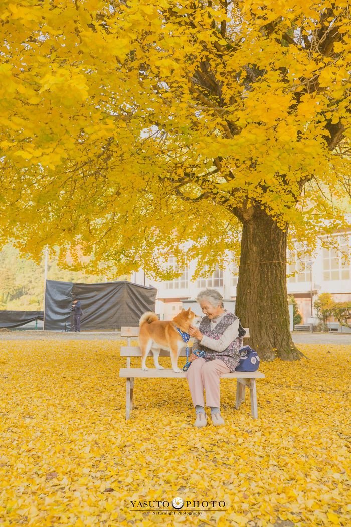 abuela y animal de compañía bajo árbol abuela y animal de compañía bajo árbol