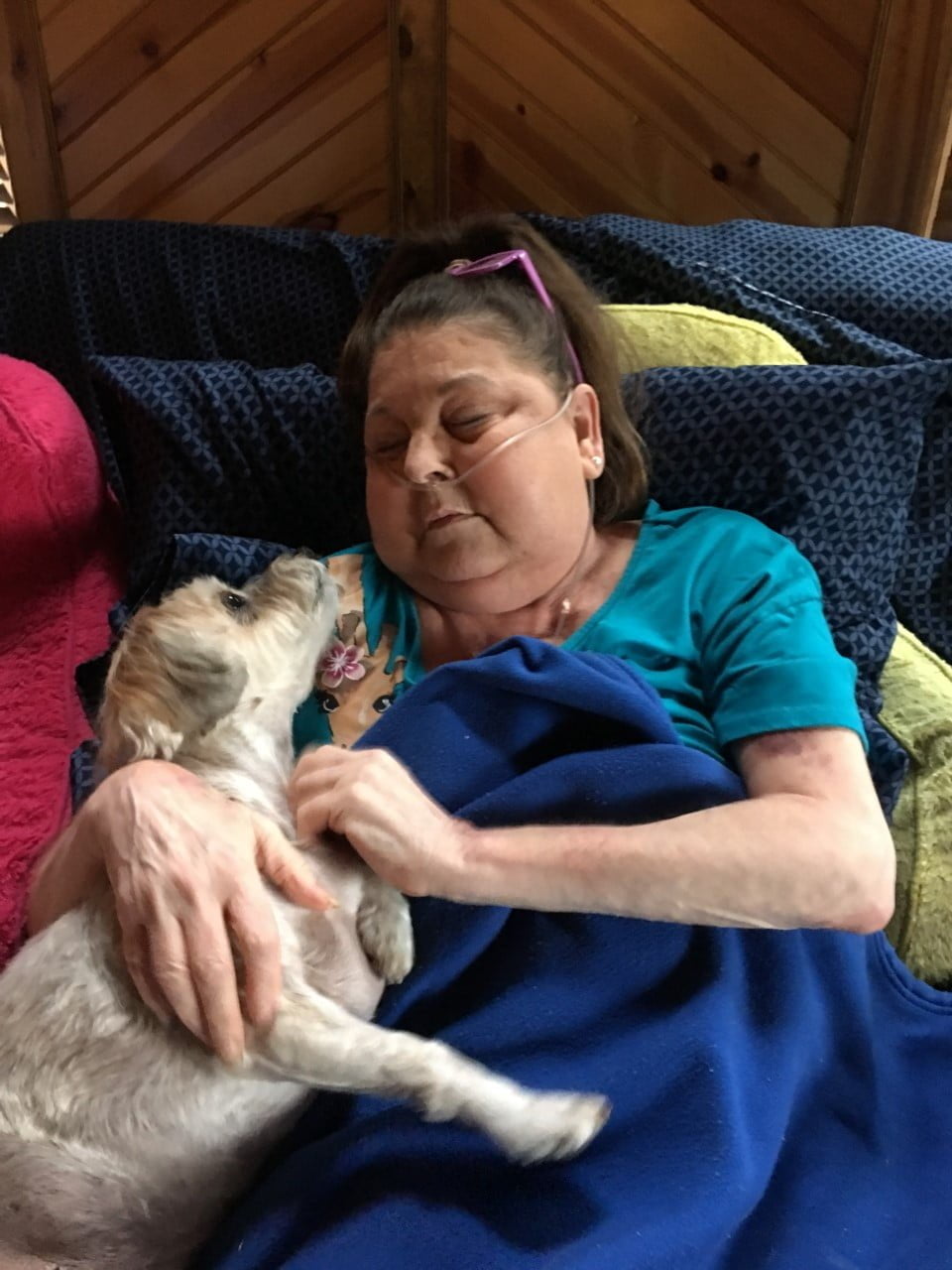 Organización mejora la vida de pacientes de un hospicio dejando que se queden con sus mascotas 4 Adulta mayor recibe compañía de perrito