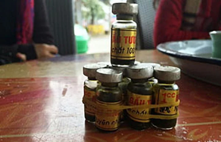 Inyección a base de bilis de oso