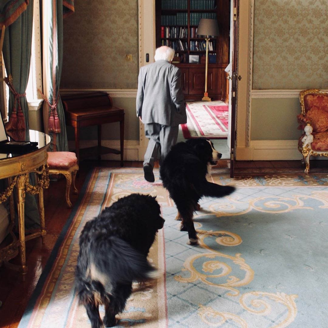 Michael D y sus perros Michael D y sus perros