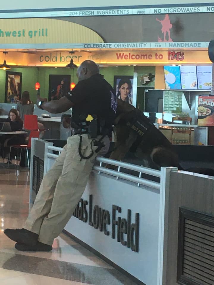 Muestra las selfies a su canino policía