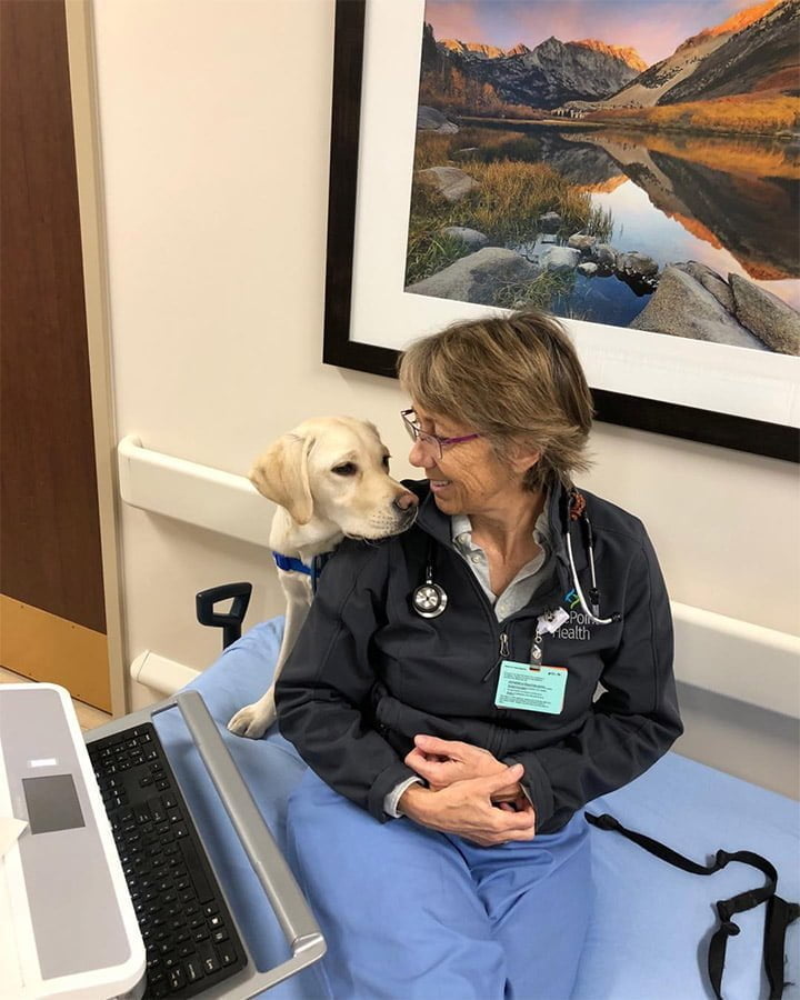 Perro de terapia en entrenamiento ayuda a animar a médicos de urgencias que luchan contra el COVID-19 5 Perro de terapia con médico