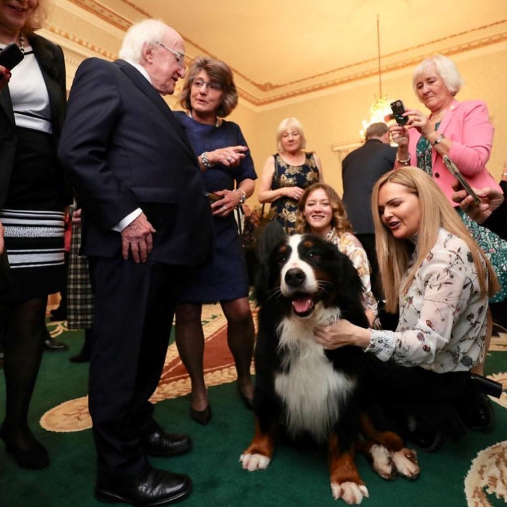 Perros del presidente comparte con la gente Perros del presidente comparte con la gente