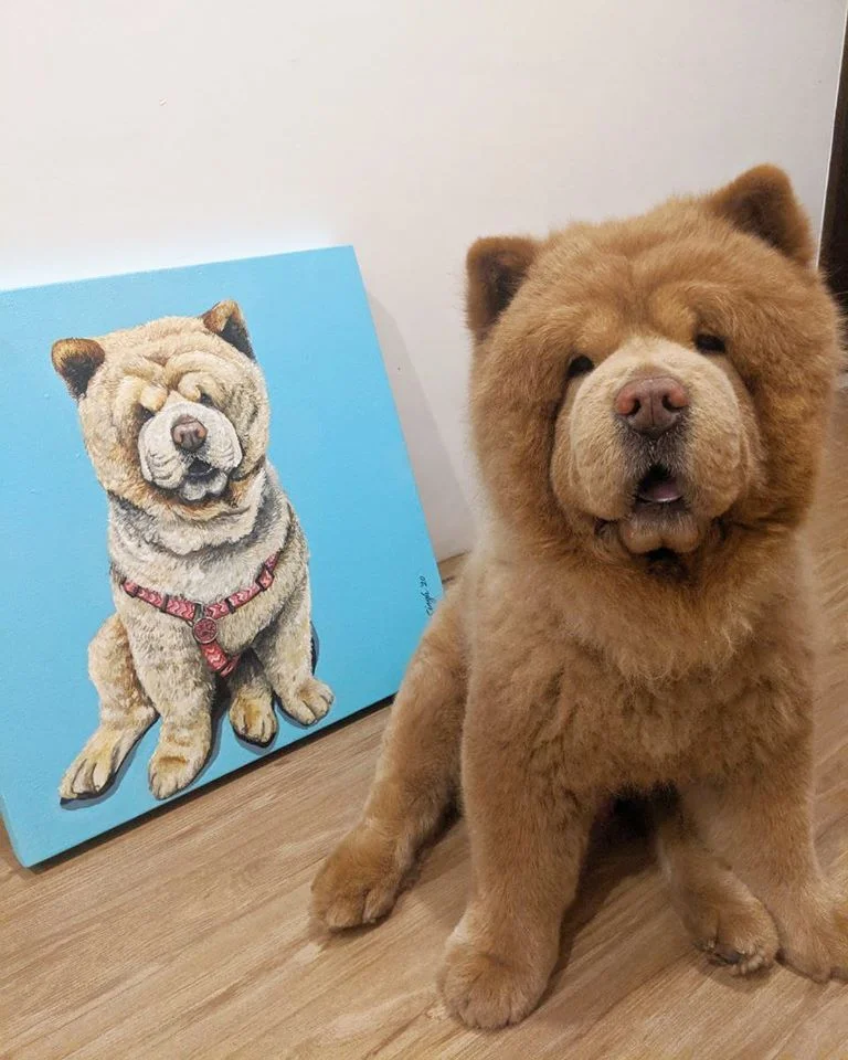 Conoce a Chowder, el Chow Chow que parece un oso de peluche gigante 1 Pintura de perro Chow Chow