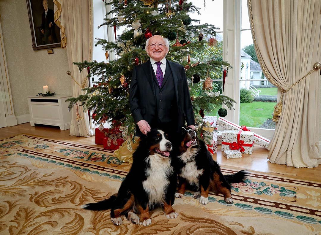 Presidente junto a sus perros Presidente junto a sus perros