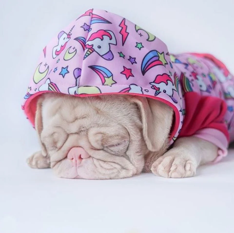 Pug con atuendo rosa duerme