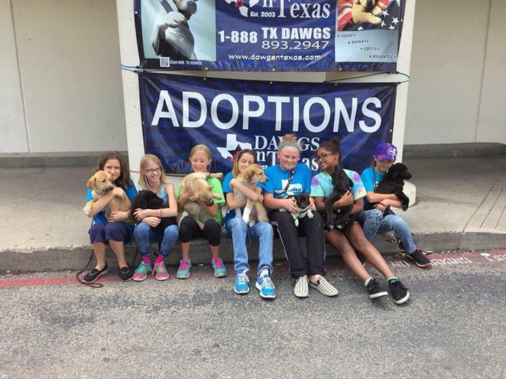 Refugio iniciado por estudiantes de 4to grado ha salvado a unos 15,000 perros 4 niños voluntarios del refugio DAWGS