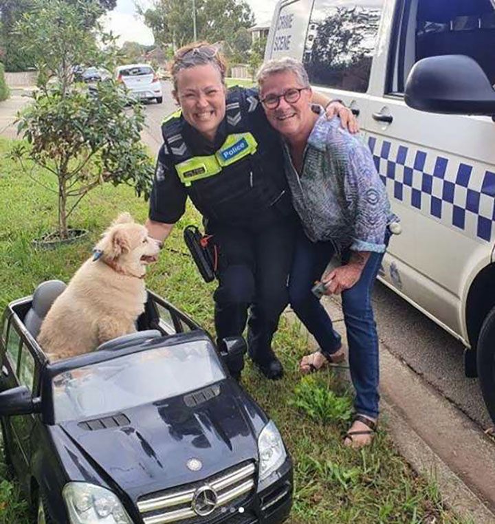 Perro conductor junto a policia y su dueño