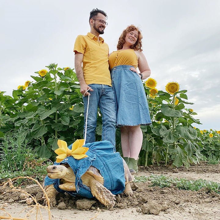 familia y tortuga posando en el campo con girasoles