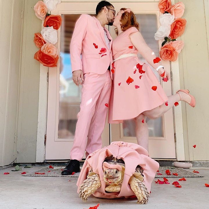 familia y tortuga de día de san valentin.