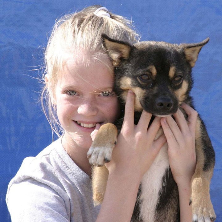 Refugio iniciado por estudiantes de 4to grado ha salvado a unos 15,000 perros 7 voluntaria Dawgs y cachorro
