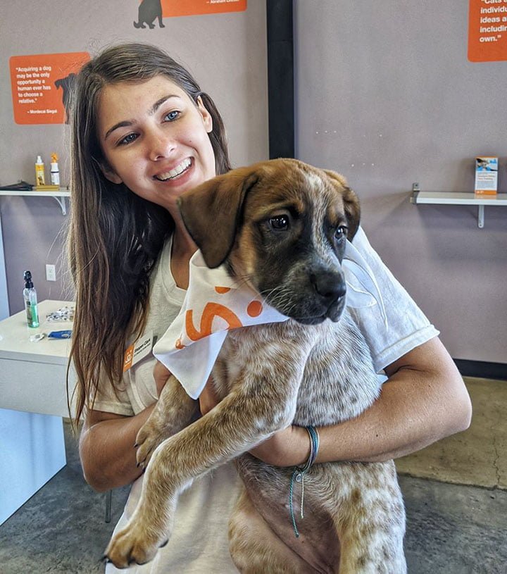 Refugios piden a las personas que cuiden animales en adopción en medio de la pandemia 7 voluntaria de refugio con mascota sin hogar