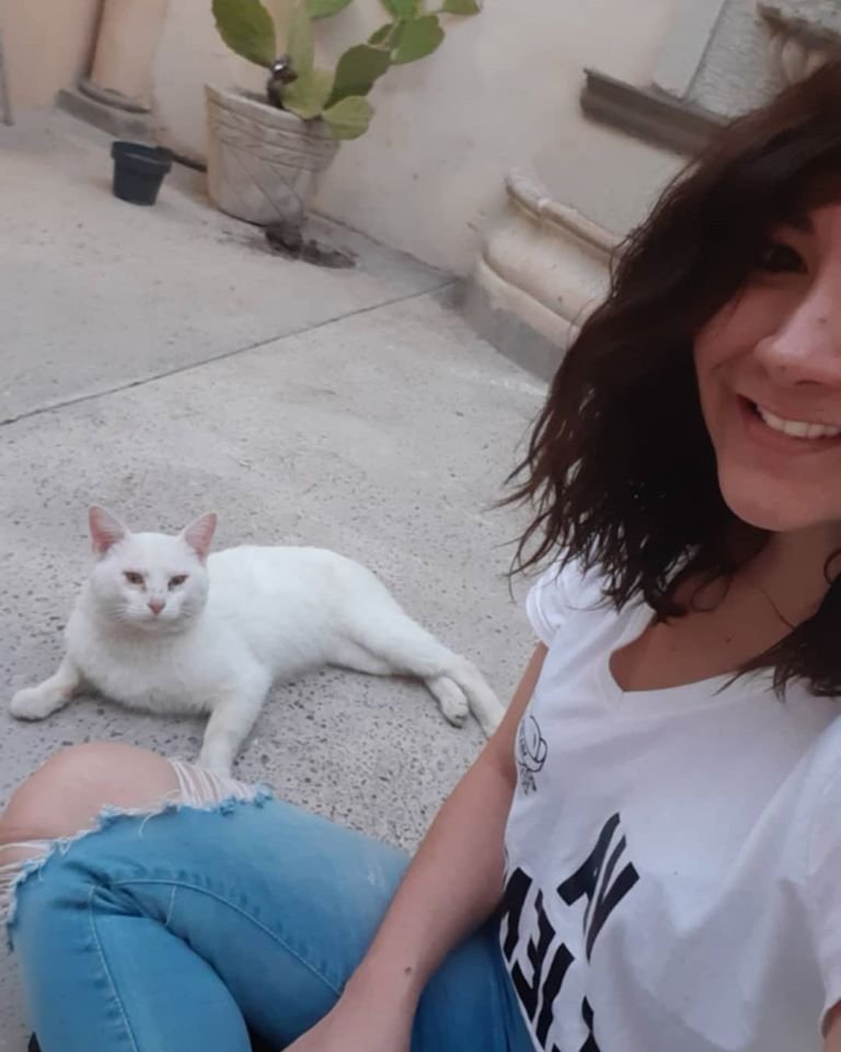 Gato inteligente visita la tienda para pedirle a la gente que le compre golosinas 4 Disfrutando de su nueva familia