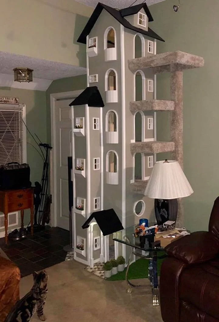 Hombre construye torres para gatos