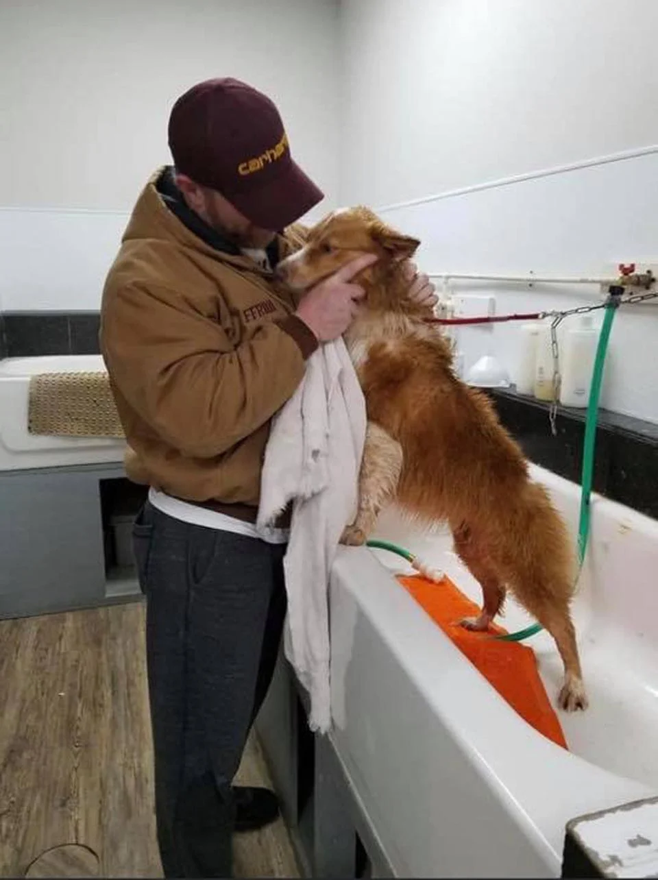 Perrita finalmente puede ver a su familia después de estar desaparecida durante casi 2 meses 5 Hombre cuida a perrita encontrada