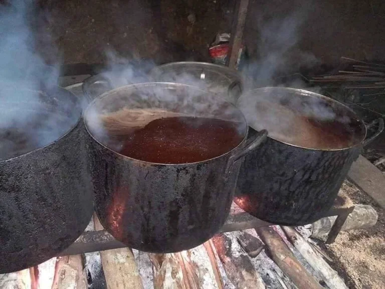 Gatos negros son convertidos en remedio para curar el coronavirus en Vietnam 4 Mezcla a base de gatos negros