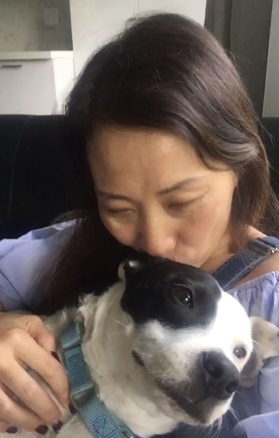 Mujer con miedo a los perros adopta a uno que le teme a las personas y se vuelven inseparables 19 Mujer besa a perrito adoptado