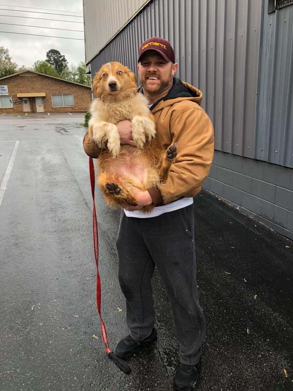 Perrita finalmente puede ver a su familia después de estar desaparecida durante casi 2 meses 10 Perrita se reúne con su dueño