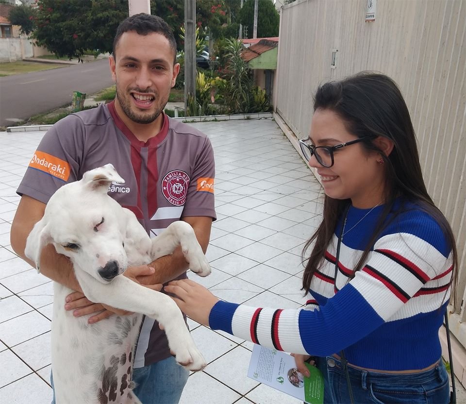 Perro sin hogar salta en el auto de un hombre y se duerme inmediatamente 8 Perro callejero encuentra a su familia