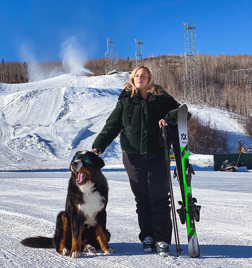 Hotel tiene su propio perro Bernés de la Montaña para abrazar a los huéspedes y acurrucarse con ellos 5 Mascota del hotel con los huéspedes