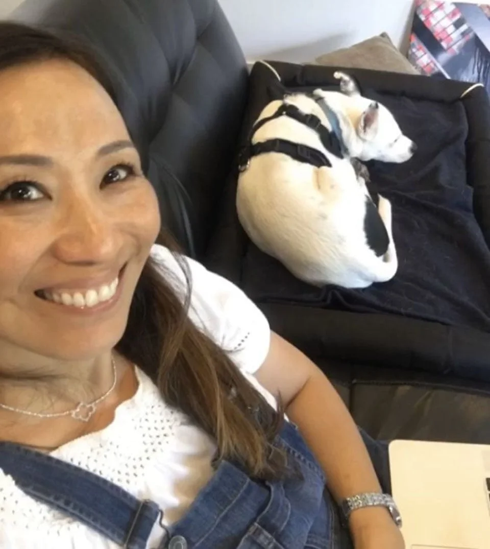 Mujer con miedo a los perros adopta a uno que le teme a las personas y se vuelven inseparables 5 Perro duerme en el sofá