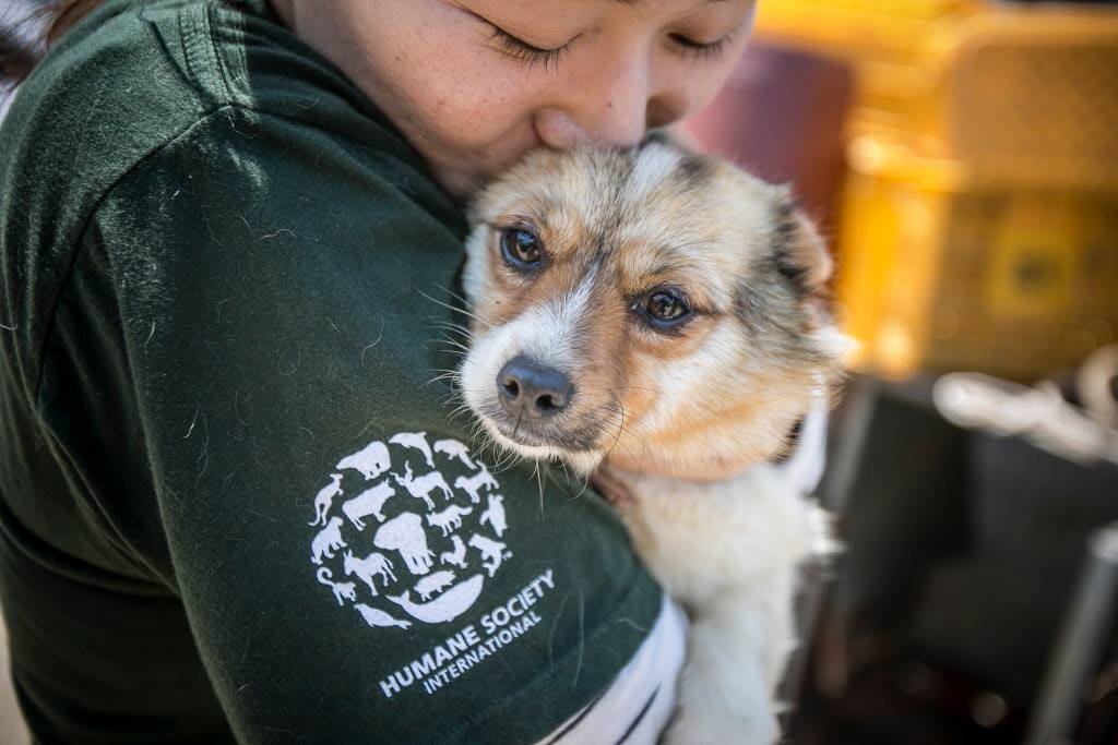 Personal del HSI junto a un perrito Personal del HSI junto a un perrito