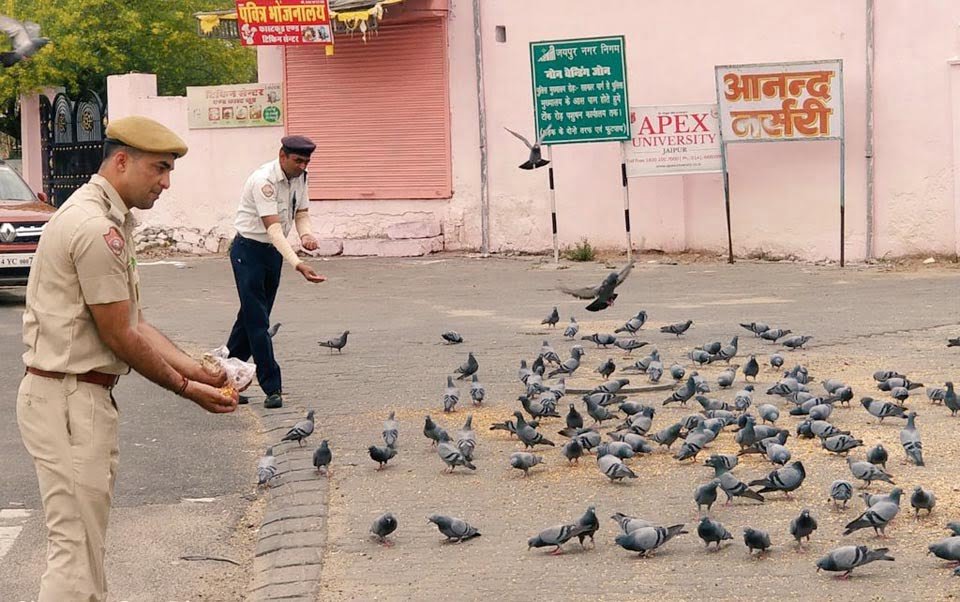 Cuerpo cívico alimenta a miles de animales hambrientos en medio de la cuarentena en la India 7 Policía alimenta a palomas