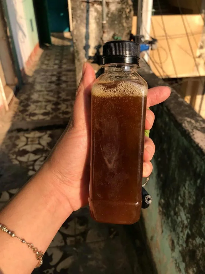 Gatos negros son convertidos en remedio para curar el coronavirus en Vietnam 1 Remedio que cura el coronavirus