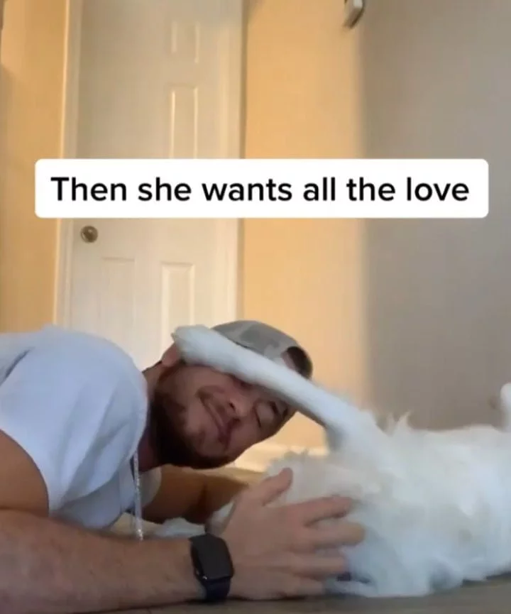 Hombre comparte la adorable manera en que despierta a su perrita ciega y sorda sin asustarla 3 chico despierta a su perro sordo y ciego tiernamente